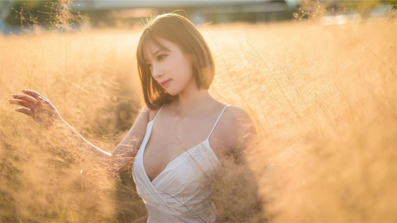 gogo手机高清在线观看: 畅享高清影视盛宴