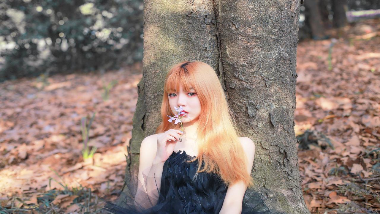 黄色美女影院: 影视作品中的美丽艺术